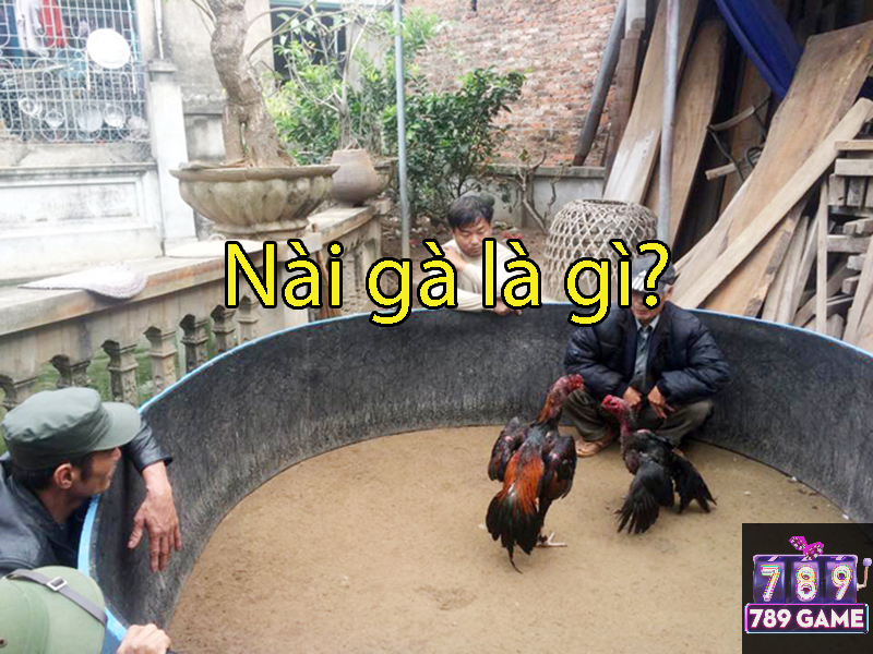 nài gà là gà gì